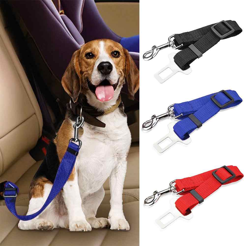 Cinturón de seguridad extensible para arnés de perro FOXTROT - Pet&Car